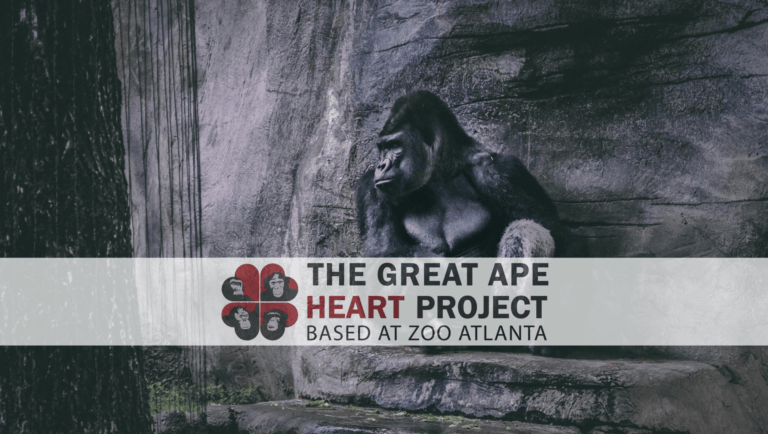 Case Study: Great Ape Heart Project Database