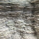 Stacks of paper