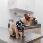 karsten-winegeart-uy5l-VJ8dRM-unsplash-scaled-1