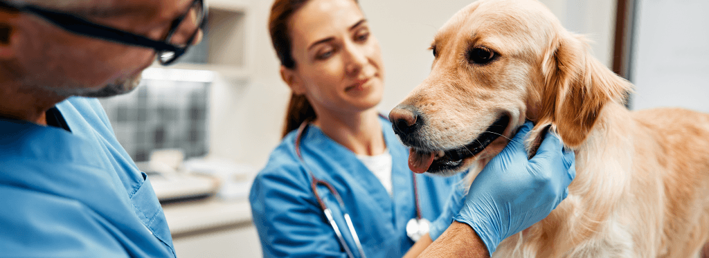 Why Animal Health R&D Teams Resist Digital Tools: Three Patterns from the Teams That Broke Through